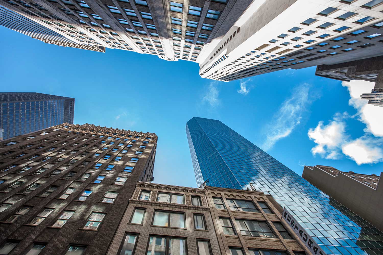 Sucessão e organização patrimonial